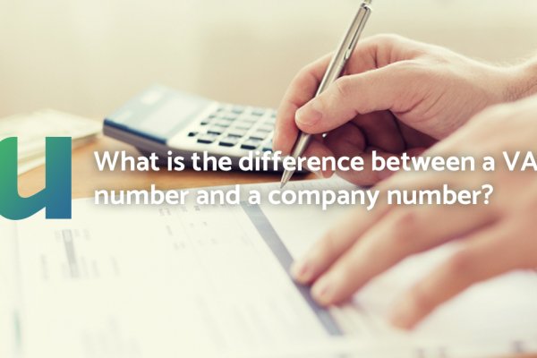 What is the difference between a VAT number and a company number?